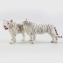 Mô hình động vật mô phỏng rắn của trẻ em Bangladesh White Tiger Động vật hoang dã Thế giới hổ Đồ chơi 3-6 năm - Đồ chơi gia đình