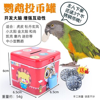 Parrot toy training supplies development coin