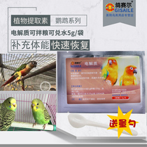 Pigeon Saier Electrolyte Parrots have no spirit do not eat quickly replenish physical recovery state supplement nutrition during the disease period