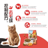 Силотическая большая кошачья еда куриная куриная марионетка синяя кошка и апельсиновая кошачь