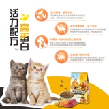 Питомец для питания Cyberry Cat становится котяткой с высоким содержанием белка, лосось красавица Grain Cat Main Food 9 кг бесплатная доставка