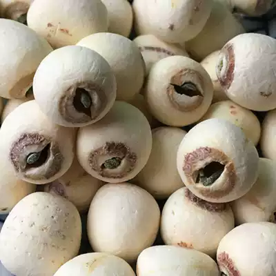New Lotus selection of large grain with core white lotus seed dry goods 500g specialty Xiangtan Xianglian seed with heart sharpening lotus seed with core