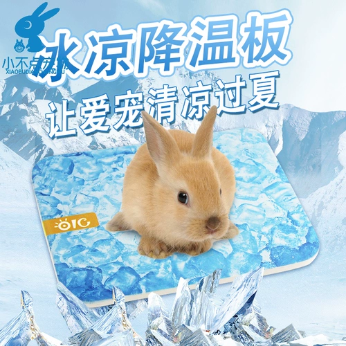 Совет по охлаждению кролика Тоторо Тоторо, звонящий доска голландских свиньи, шахта Dolustra Countainet Pets Board Pet Board Cold Board OC17
