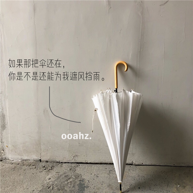 Ooahz Healing White Suitable for Photography ~ Solid Color ins Long-Handled Umbrella for Men and Women, Wooden Handle, Wedding Umbrella, Windproof Ooahz Healing White Suitable for Photography ~ Solid Color ins Long-Handled Umbrella for Men and Women, Wooden Handle, Wedding Umbrella, Windproof