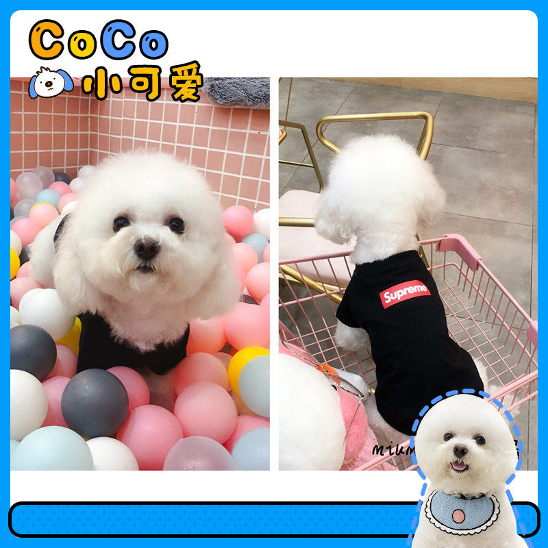 CoCo Pet-Dog Clothes Summer Thin Teddy Bear Fadou Pomeranian Cat Pet Clothes Small Dogs