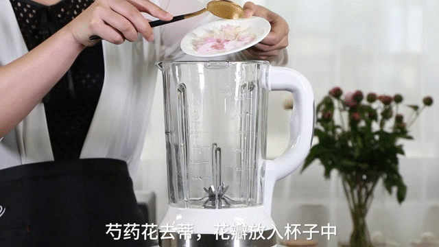 美国Jese jese破壁机 破壁料理机 变频破壁机 破壁机 三维变频技术 料理机 弹性素食