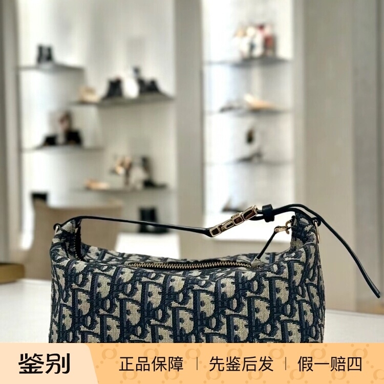 Dior Monogram Lunchbox Bag Travel Normad Clutch Embroidered Canvas