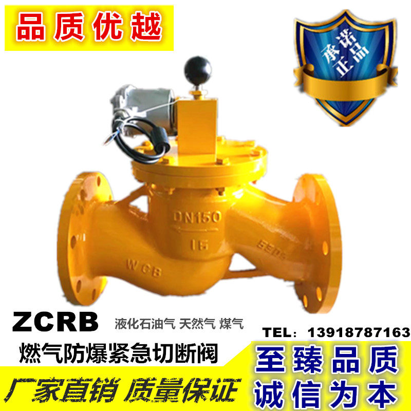 ZCRB Automatic Explosion Protection and Electromagnetic Cut Valve for Vass LGG DN25-DN200
