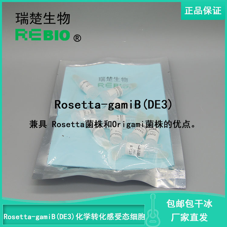 顺丰包邮包干冰Rosetta-gamiB(DE3)化学转化感受态细胞大肠杆菌
