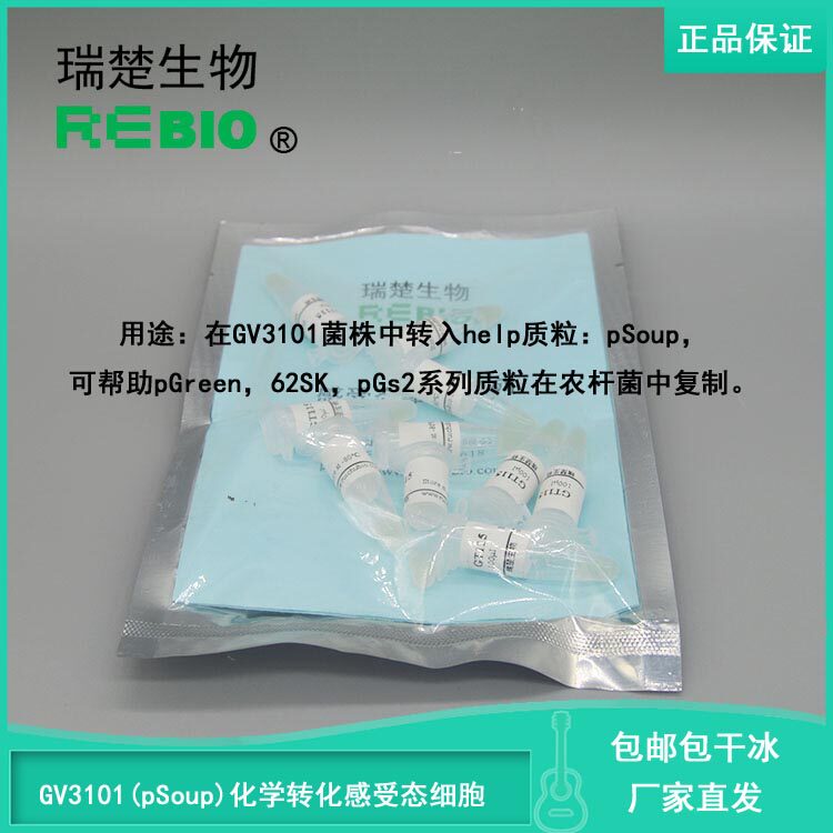 顺丰包邮包干冰GV3101(pSoup)化学转化感受态细胞根瘤农杆菌10支