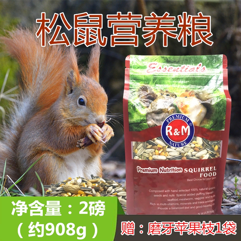 Ham nutrition squirrel grain rat feed squirrel food staple food containing nuts vegetables and fruits dried 908g