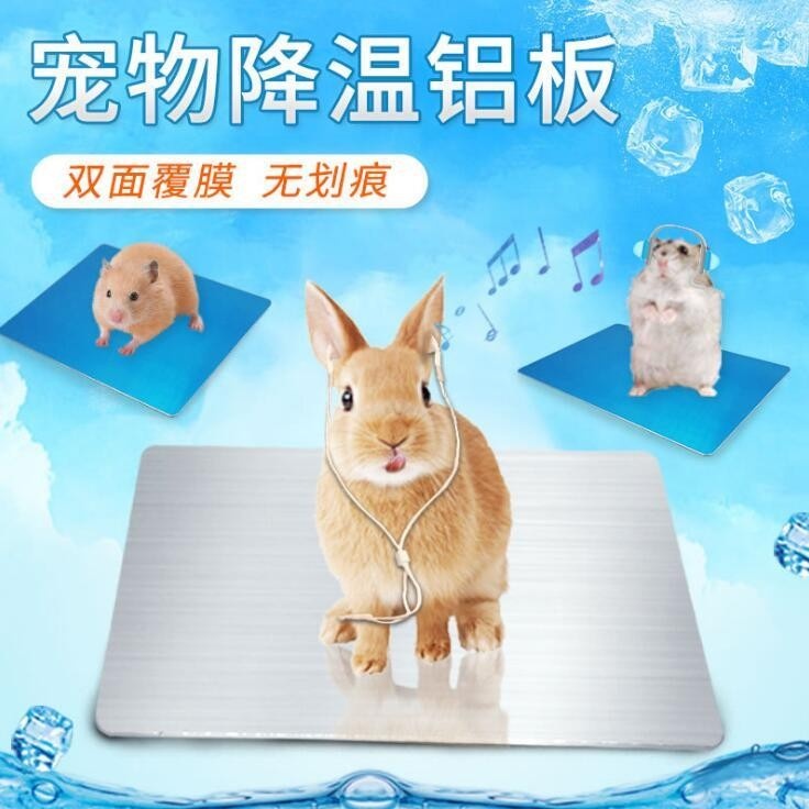 Pet Summer Cooling Plate Aluminum Plate Rabbit Hamster Hamster Dragon Cat Ice Mat Heat Dissipation Plate Heat Insulation Sheet Summer Heatstroke supplies