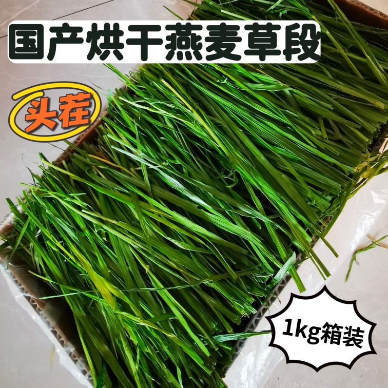 New grass drying green oat grass segment head stubble multi-leaf less pole rabbit grass guinea pig chinchilla guinea pig pasture hay