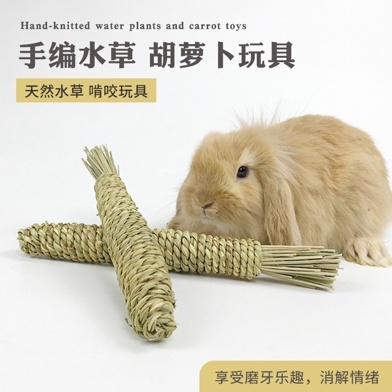Pet hand choreography Carrot Toy Rabbit Toy Rabbit toy Tooth Decontrol the guinea cat nibbling the grass choreography