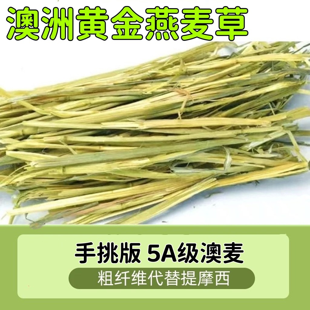 Hand picked Australian wheat Australian gold oats 500g grass rabbit guinea pig chinchilla hay green Australian wheat instead of Timothy grass