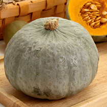 Xinjiang chestnut pumpkin fresh fruits and vegetables pregnant women baby supplementary food noodles sweet powder glutinous 5-9 Jin straight hair