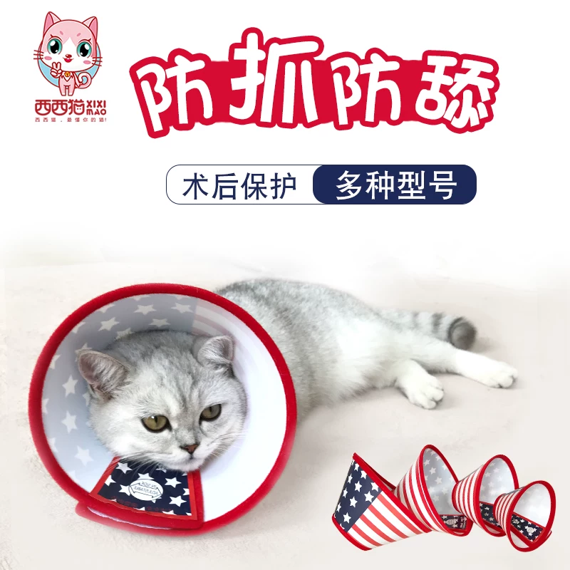 西西猫 Elizz cat head, cadmium stuffy waste Zhao γ ㄍ ㄍ ㄍ