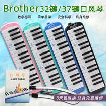 Brothers card mouth organ 32 keys 37 keys primary school children children beginner adult professional performance blow pipe mouthpiece accessories