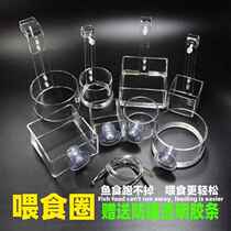Fish tank floating feeding circle tube aquarium acrylic transparent fish food feeding device bucket hook suction cup anti-scattering