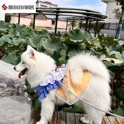 Dog Walking Dress, Pretend Dog Walking Dress, Dog Clothes, Pet Spring and Summer Princess Dress for Large and Medium-Sized Dogs, Lace-Up Mesh Dress for Pets