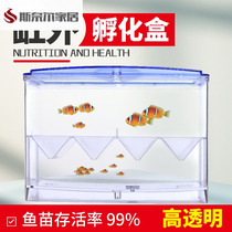 Fish tank isolation incubation box guppy tropical fish small fish juveniles independent breeding box delivery room outside the tank