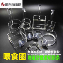 Fish tank floating feeding circle tube aquarium acrylic transparent fish food feeding device bucket hook suction cup anti-scattering brine shrimp