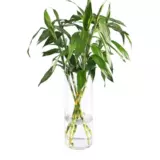 Прямая бочка пластиковая акриловая, прозрачная и богатая бамбуковая пластиковая ваза дорога, прямая цилиндрическая свадьба