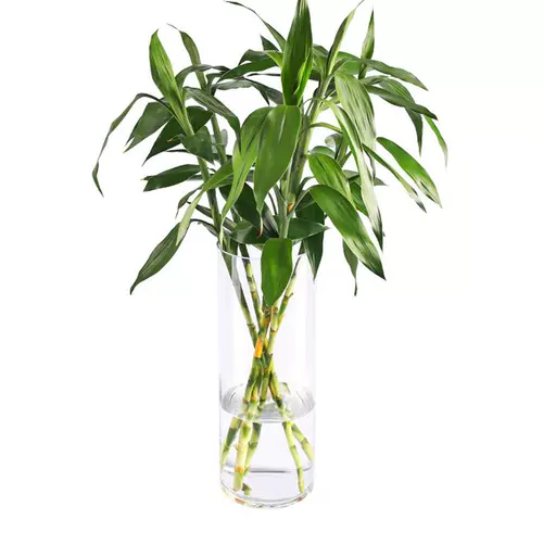 Прямая бочка пластиковая акриловая, прозрачная и богатая бамбуковая пластиковая ваза дорога, прямая цилиндрическая свадьба