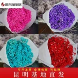 Сушеная гипсофила, сухоцветы, букеты из сухоцветов, большие букеты, прямые продажи с фабрики, бессмертные цветы, материал своими руками, настоящие цветы, украшения, предметы интерьера