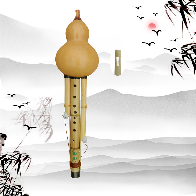 Nine-hole gourd silk descending b-tune c-tune musical instrument for beginners professionally playing fgd tune Yunnan golden bamboo adult children's reed