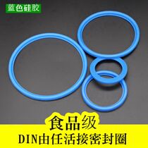 DN Union sealing ring blue silicone DIN sealing gasket sanitary grade O-Round thread rubber joint