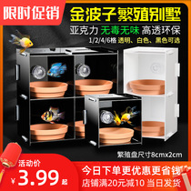 Jinbozi breeding plate rack Villa hatching Aquarium floating box fish Acrylic short snapper Avatar Santalun Arhat