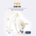 Pet khử trùng khử trùng chó khử trùng khử trùng trong nhà để nếm chó mèo để nước tiểu có mùi nước hoa khử mùi chó - Trang chủ nước lau kính cif Trang chủ