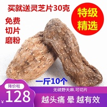 Shennongjia special sulfur-free grade wild pure Tianma second Yunnan Tianma flakes Zhaotong Tianma powder Xiaocaoba Wild Tianma