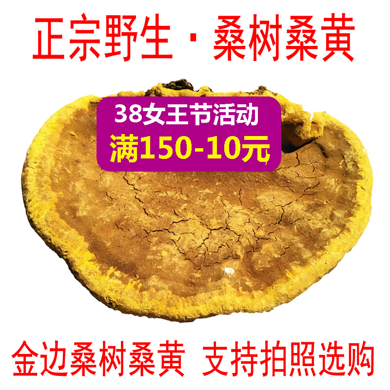 Pure wild mulberry yellow wild samhuang lingzhi 250g authentic wild Tibetan samhuang natural pure wild sanhuang