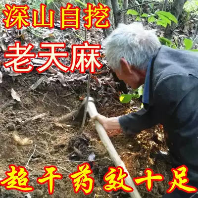 Shennongjia farmers self-dig special sulfur-free Wild Sky Ama powder can cut dry Tianma tablets big old Tianma tonic