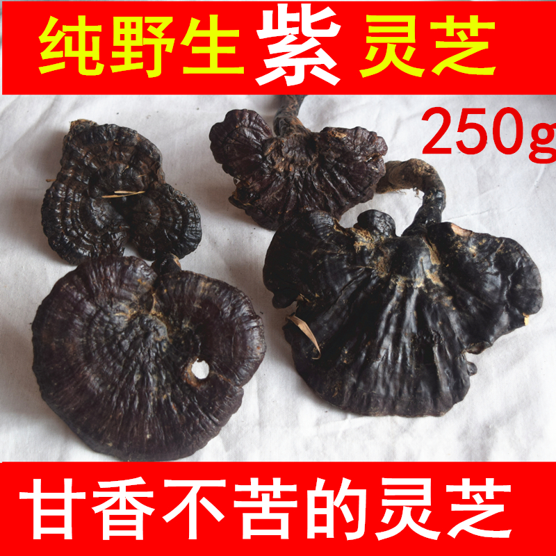 Shennongjia deep mountain wild Ganoderma lucidum whole branch Linzhi natural pure wild Ganoderma lucidum purple Ganoderma lucidum 250 grams of black Ganoderma lucidum