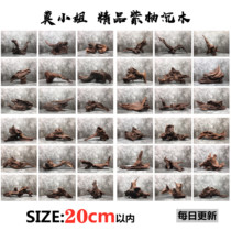 (Miss Mo) Within 20CM sunken wood fish tank landscaping hermit crab decoration turtle drying platform South American tank purple teak wood