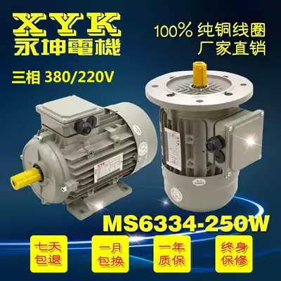 Taiwan Yongkun MS6334 AC three-phase asynchronous motor aviation aluminum case 250W induction motor