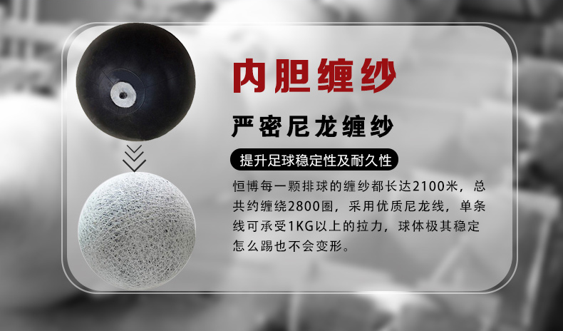 Ballon de volley-ball - Ref 2009661 Image 13