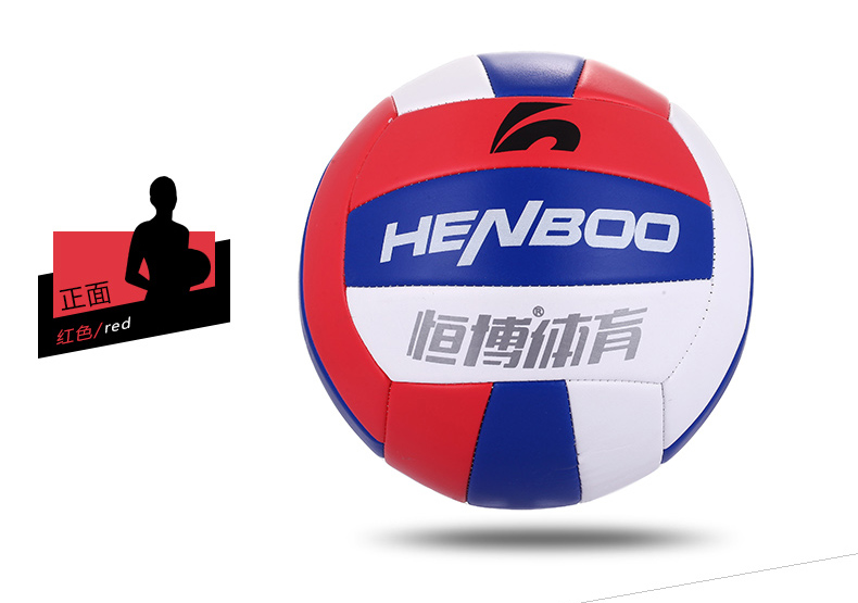Ballon de volley - Ref 2009589 Image 22