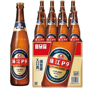 珠江啤酒P9560mL*12瓶
