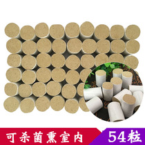  20:1 handmade wormwood wormwood wormwood wormwood moxibustion sterilization sterilization indoor air purification wormwood