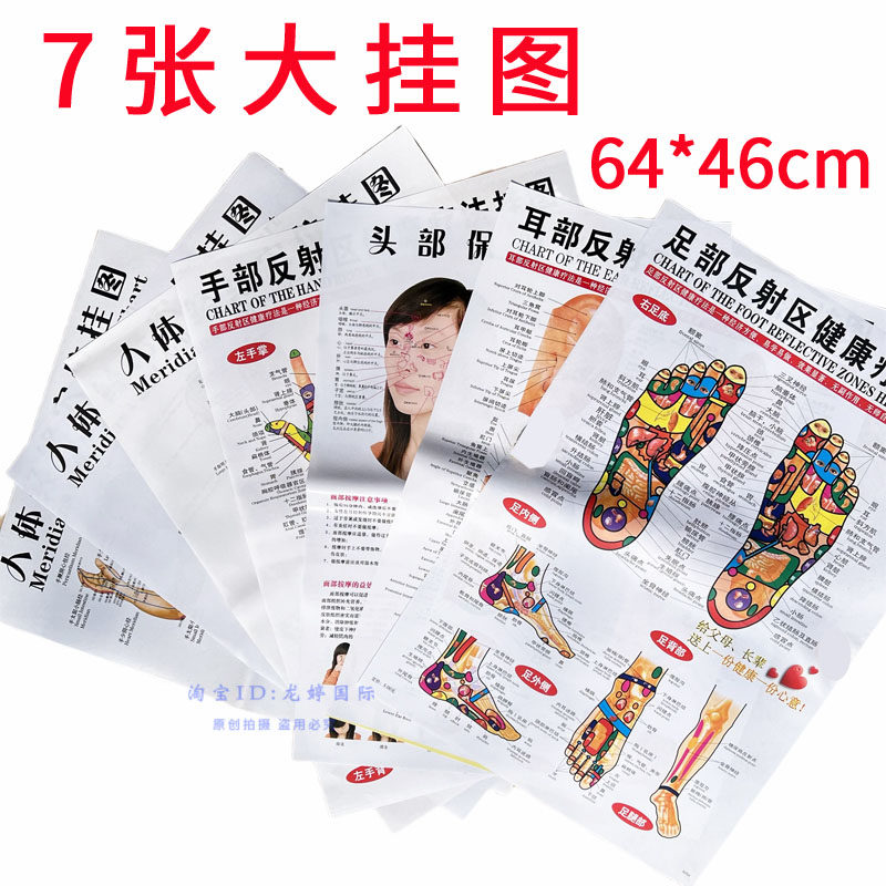 7 acupoint maps of hands, feet, ears, head, whole body, front, back, side, sole, and sole reflex zone of TCM human body meridian wall chart