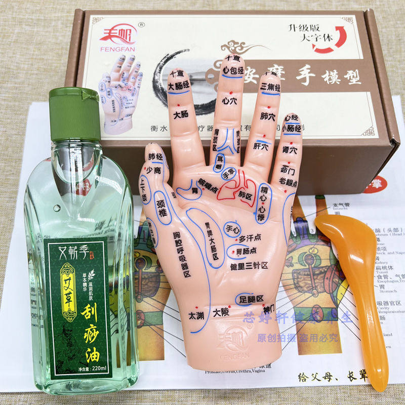 19cm超清晰软质刻字版手部按摩反射区穴位模型手掌模具手背送手图