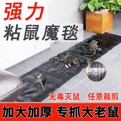 Mouse Stickers Strong Sticky Mouse Board 1.2m Long Blanket to Kill Rats and Catch Big Mice Super Sticky Strong Glue for Home Use