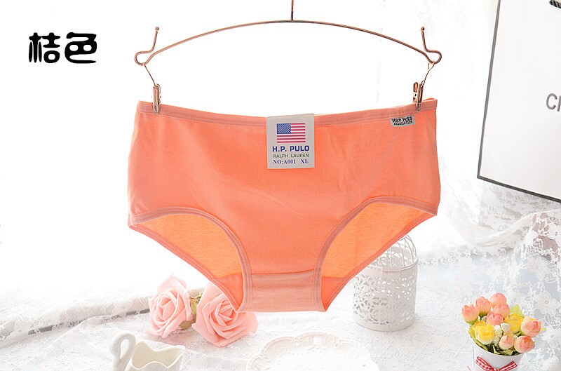 Slip A001 en coton - Ref 650431 Image 23