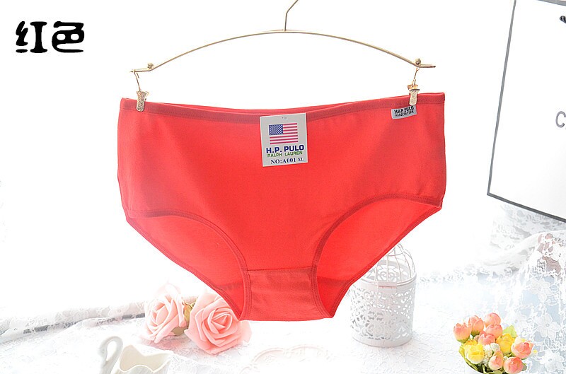 Slip A001 en coton - Ref 650431 Image 29