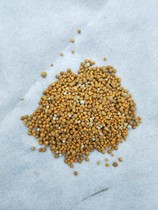 Austrian green slow-release fertilizer general 318s Austrian green fertilizer flower fertilizer a2 succulent rose orchid plant flower potted