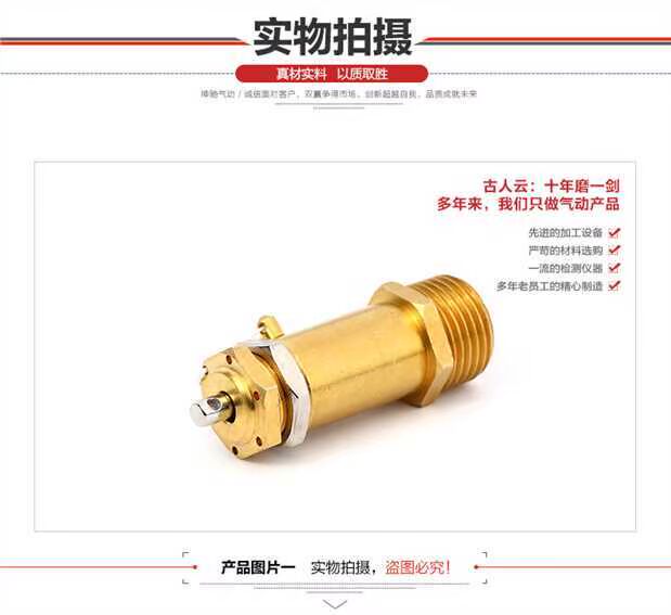 SNS Shenchi Dụng cụ khí nén Van an toàn Van giảm áp tác động trực tiếp Dòng BV đầy đủ - Công cụ điện khí nén